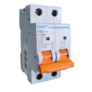 CHINT NB1-63 2 Pole Miniature Circuit Breaker | D-Curve